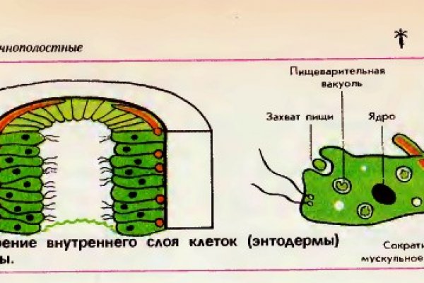 Сайт мега даркнет