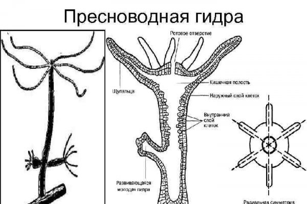 О сайте мега