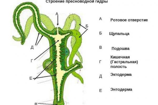 Кракен зеркало ссылка kraken