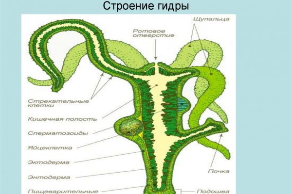 Кракен рабочая ссылка kramp.cc